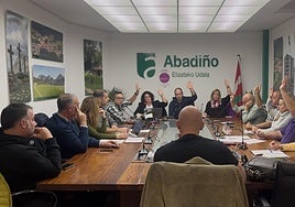 La propuesta salió adelante con los votos favorables de EH Bildu, AIB y PSE-EE, mientras que el PNV se posicionó en contra.