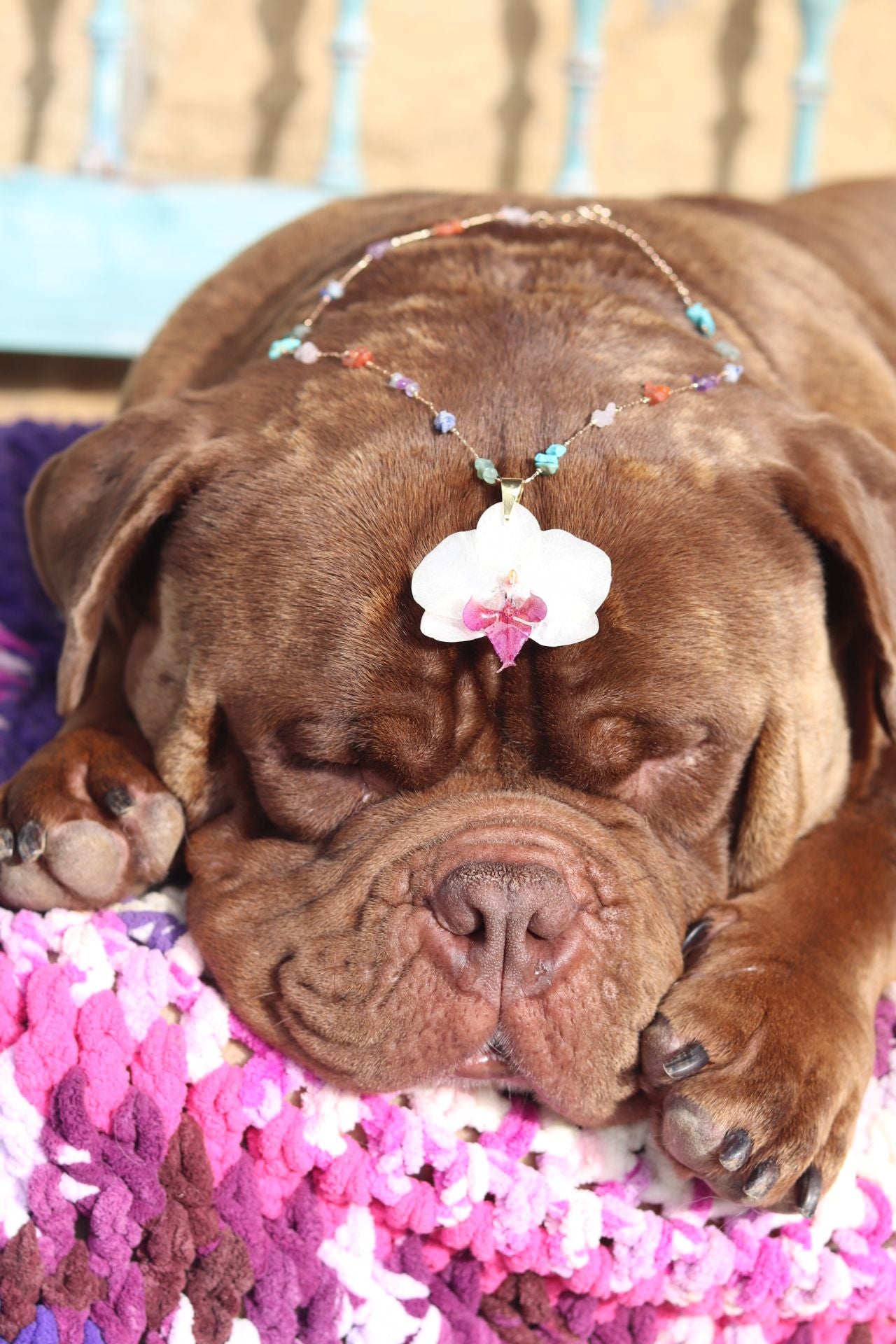 Alba dejó su trabajo fijo en la oficina para crear joyas con más de 100 orquídeas… y hasta con piparras