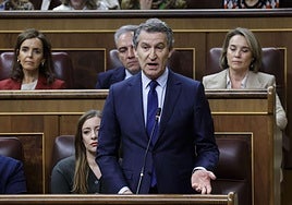 Alberto Núñez Feijóo, en la sesión del control al Gobierno.