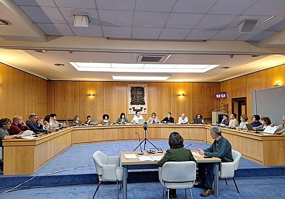 Sesión plenaria en el Ayuntamiento de Basauri.