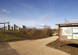 Vista del sendero entre Elorriaga y Salburua.
