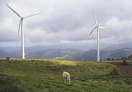 El parque del monte Oiz fue el primero en construirse en Bizkaia. Posteriormente se abrió el del Puerto de Bilbao.
