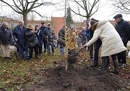Los miembros de Asopara plantan el árbol conmemorativo en el Parque San Martín con la ayuda de Lucho Royero, concejal de Políticas Sociales