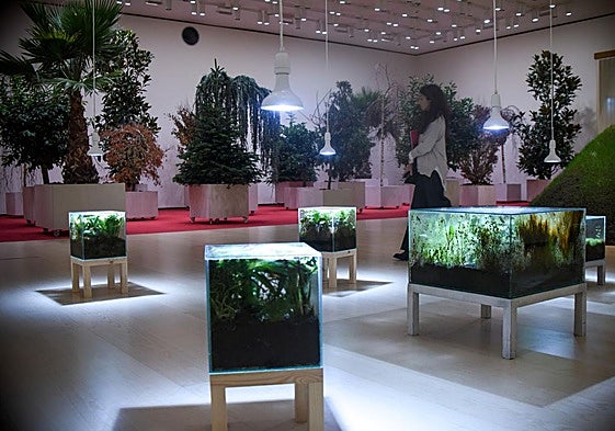 Las cajas de Isa Melsheimer, con la instalación de árboles al fondo.