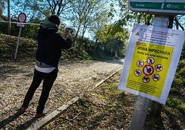 El cartel se ha colocado en la zona de Barcelona en la que se ha detectado el foco de la peste porcina tras treinta años sin estar presente en España.