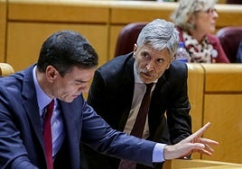 Sánchez y Marlaska durante una sesión de control en el Senado.