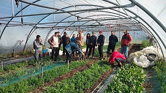 Un grupo de jóvenes en un curso de formación agrícola en unos invernaderos.