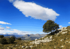 Carranza, una escapada verde de premio