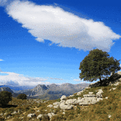 ¿Por qué Carranza enamora a la gente que visita el valle?