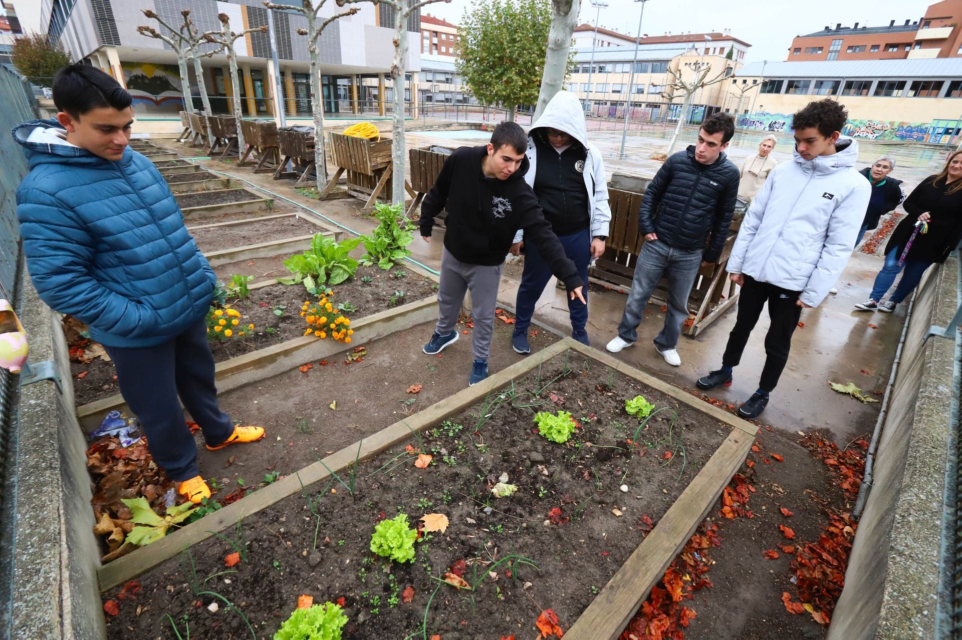 Los alumnos disfrutan trabajando en el huerto, como otros alumnos del centro.