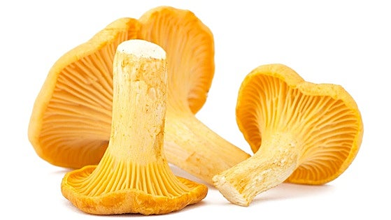 Rebozuelos, setas ricas y sabrosas