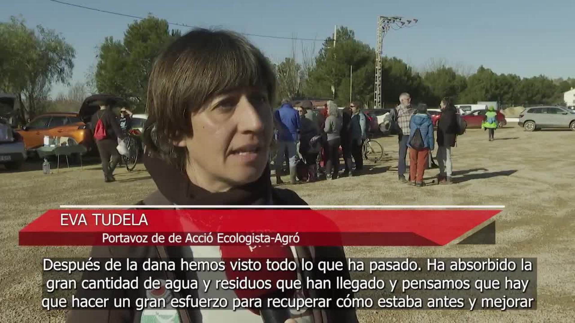 Ecologistas reclaman la "recuperación" de l'Albufera en el Día Mundial de los Humedales