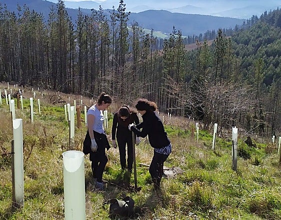 Ondarroa comprará la parcela donde está el manantial que le abastece de agua
