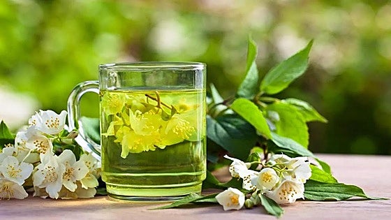 El té que recomiendan los nutricionistas para acelerar el metabolismo y cuidar la microbiota intestinal