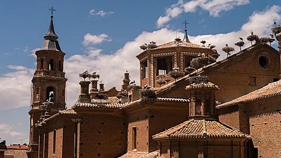 Fiesta en honor a las cigüeñas en La Rioja