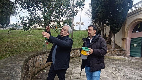 Vecinos y Ayuntamiento suman fuerzas por atajar la proliferación de la avispa asiática en Muskiz