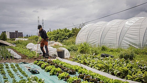 El Ayuntamiento reforzará la vigilancia en su semillero agrario ante los robos de la cosecha