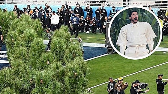 ¿Cuánto cobraron los 'árboles humanos' en la actuación de Bad Bunny en la Super Bowl?
