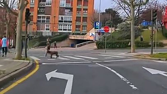 El cruce más difícil de Bizkaia, según una autoescuela