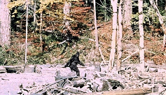 Las tomas falsas del bigfoot
