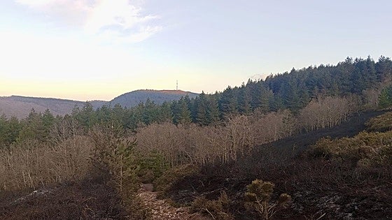 Controlado un incendio en la Sierra de Elgea que ha movilizado a bomberos toda la noche