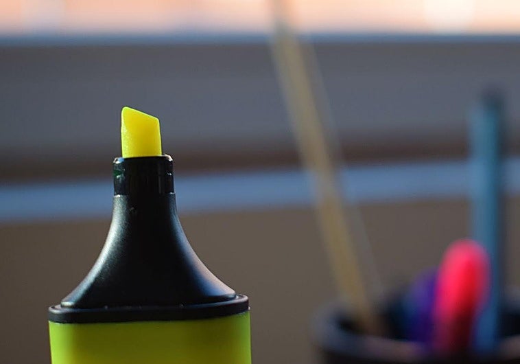 Seme bat izan genuen