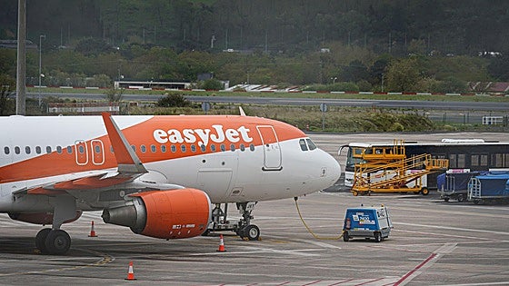 Un avión sufre daños al chocar con un buitre cerca de Loiu y se queda 4 días fuera de juego