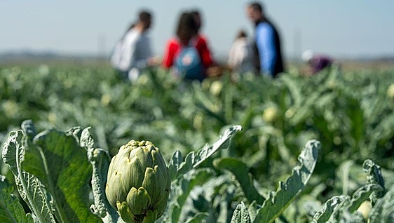 La huerta navarra da la bienvenida a la primavera