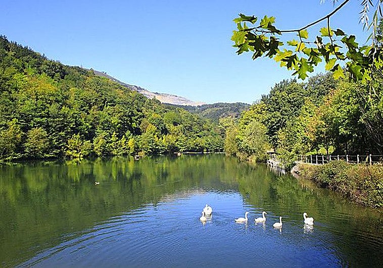 Arrigorriaga impulsa la mejora del gran pulmón verde de Mendikosolo