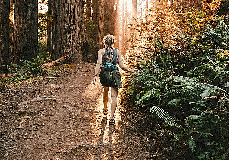 Está de baja por ansiedad, se va de senderismo a los Picos de Europa y es despedida de forma procedente