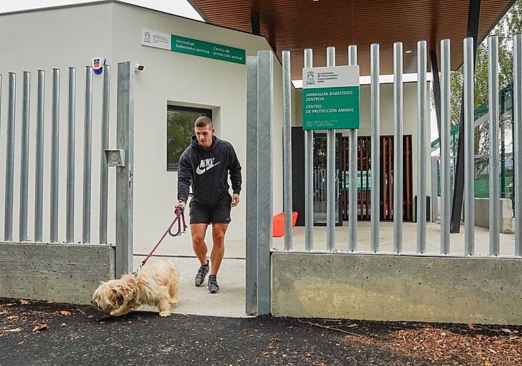 La Justicia ordena la readmisión de las voluntarias en la perrera de Vitoria