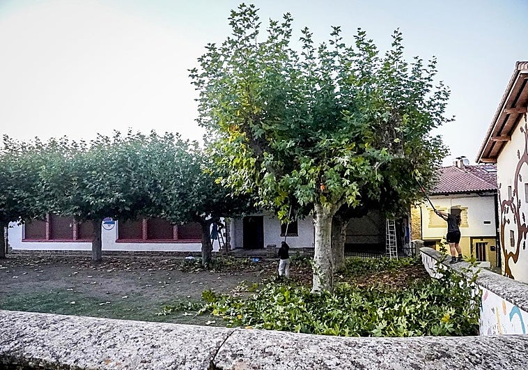 Todos los udalekus deberán tener la figura del protector de los niños para evitar casos como el de Bernedo