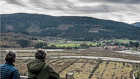 Las jornadas de Cultura y Paz de Gernika reflexionan sobre el futuro ecosocial de Urdaibai