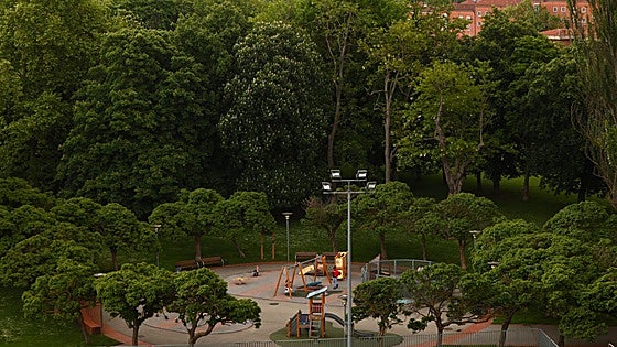 Muere un perro tras ingerir bolas de carne con veneno en un parque de Vitoria