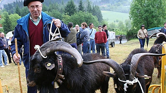 Cabras azpigorri y caballos de monte, principal reclamo de la feria rural de Orozko este sábado