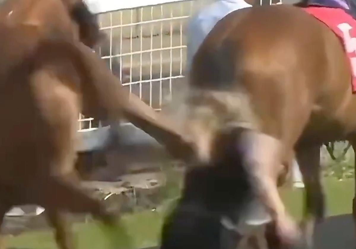 Una mujer recibe una tremenda coz de un caballo de carreras y sale por los aires