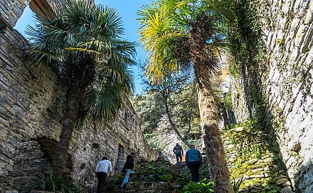 La vegetación crece entre las ruinas.
