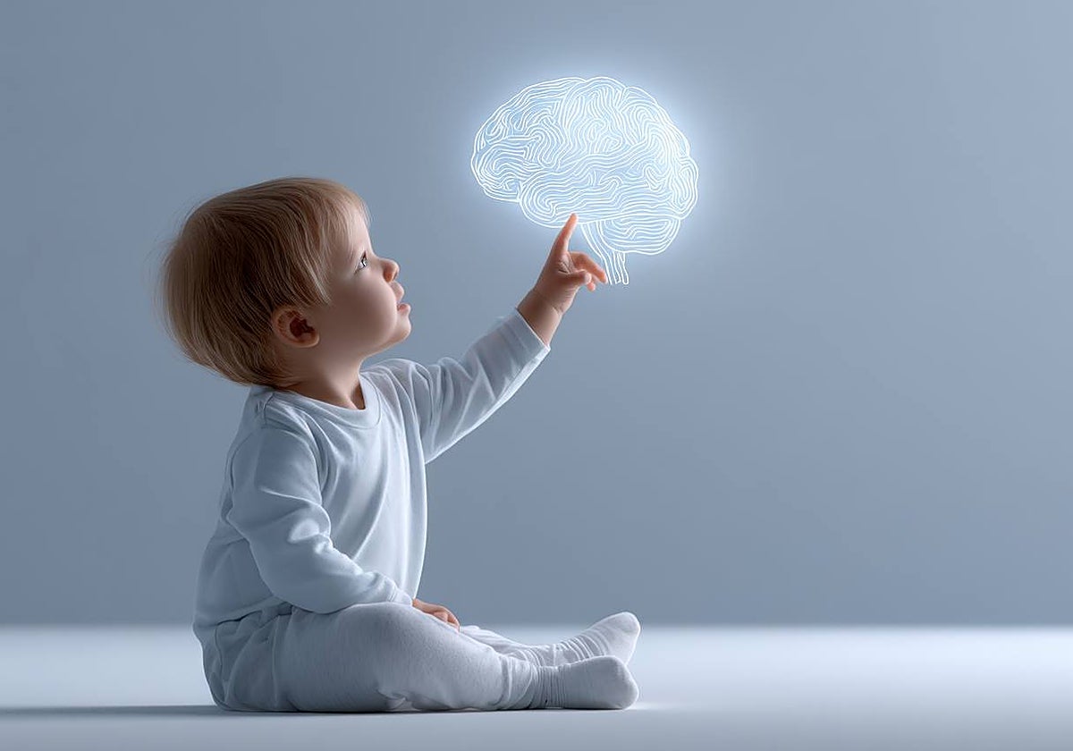 Lo que el entorno influye a la hora de ‘esculpir’ el cerebro