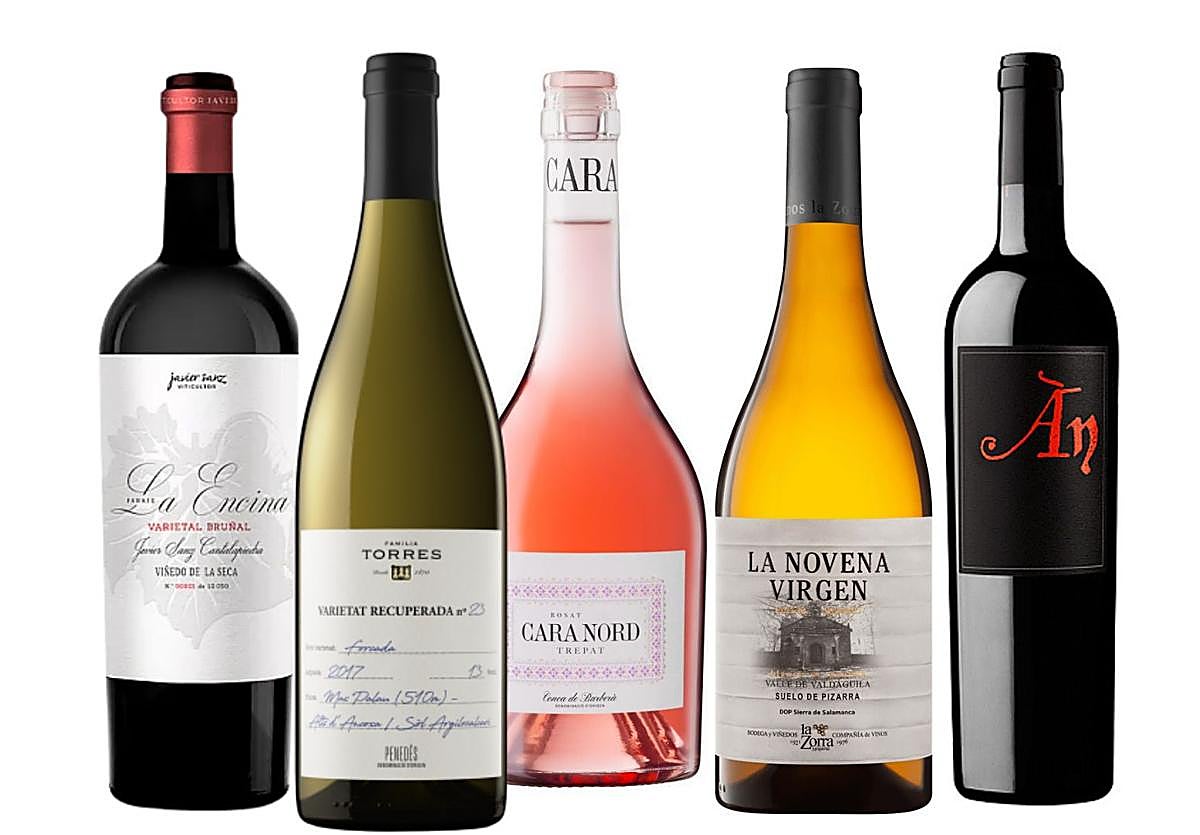 Viaje por los vinos de uvas raras