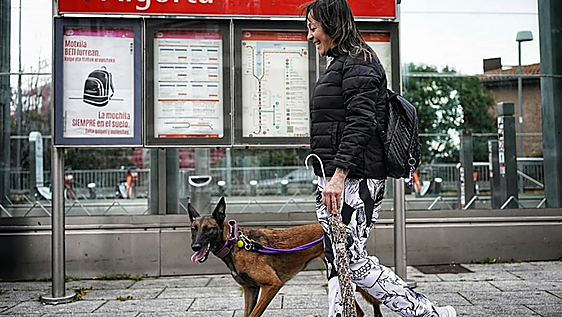 Metro Bilbao permitirá el acceso a perros de más de ocho kilos con ciertas restricciones