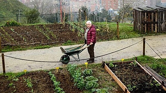 Bilbao abrirá más huertos urbanos en Kobeta por la gran demanda de parcelas