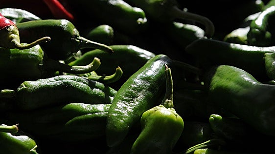 El pimiento de Gernika también podrá ser ecológico