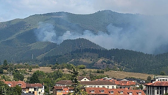 Un incendio pone en alerta a los municipios alaveses de Ayala y Artziniega