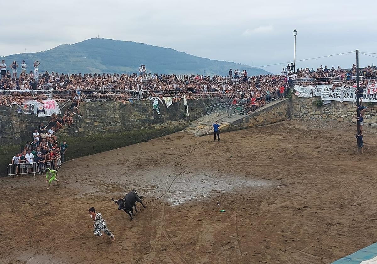Getxo se vuelca con la 'sokamuturra' pese a la protesta animalista