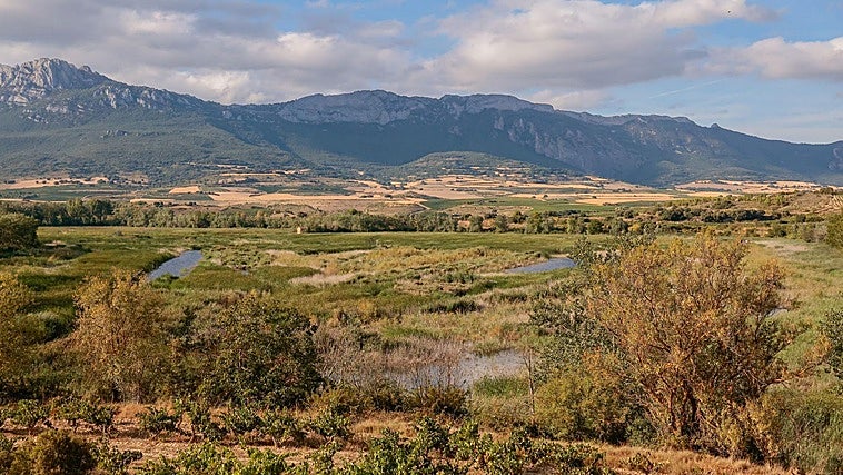 Álava restaurará las lagunas de Laguardia con refugios para la fauna y barreras vegetales