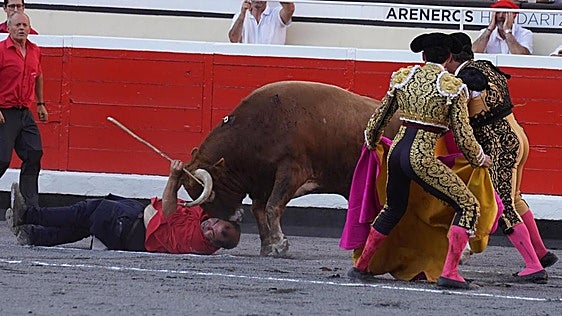 Un monosabio, corneado en Vista Alegre