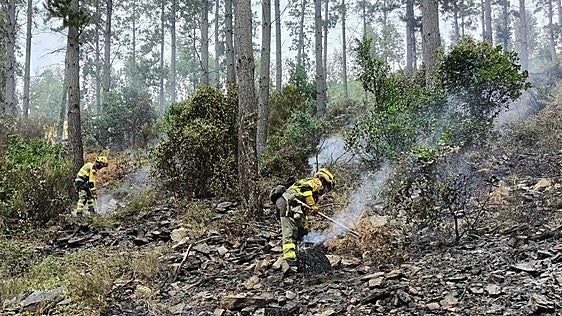 El incendio en la muga de Álava con Burgos «evoluciona favorablemente»