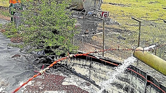 La sequía obliga a la Diputación a llevar 380.000 litros de agua al ganado de la Sierra Salvada