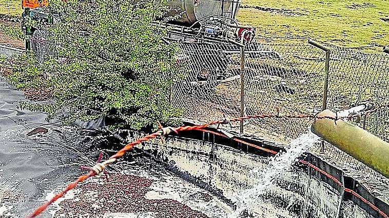 La sequía obliga a la Diputación a llevar 380.000 litros de agua al ganado de la Sierra Salvada