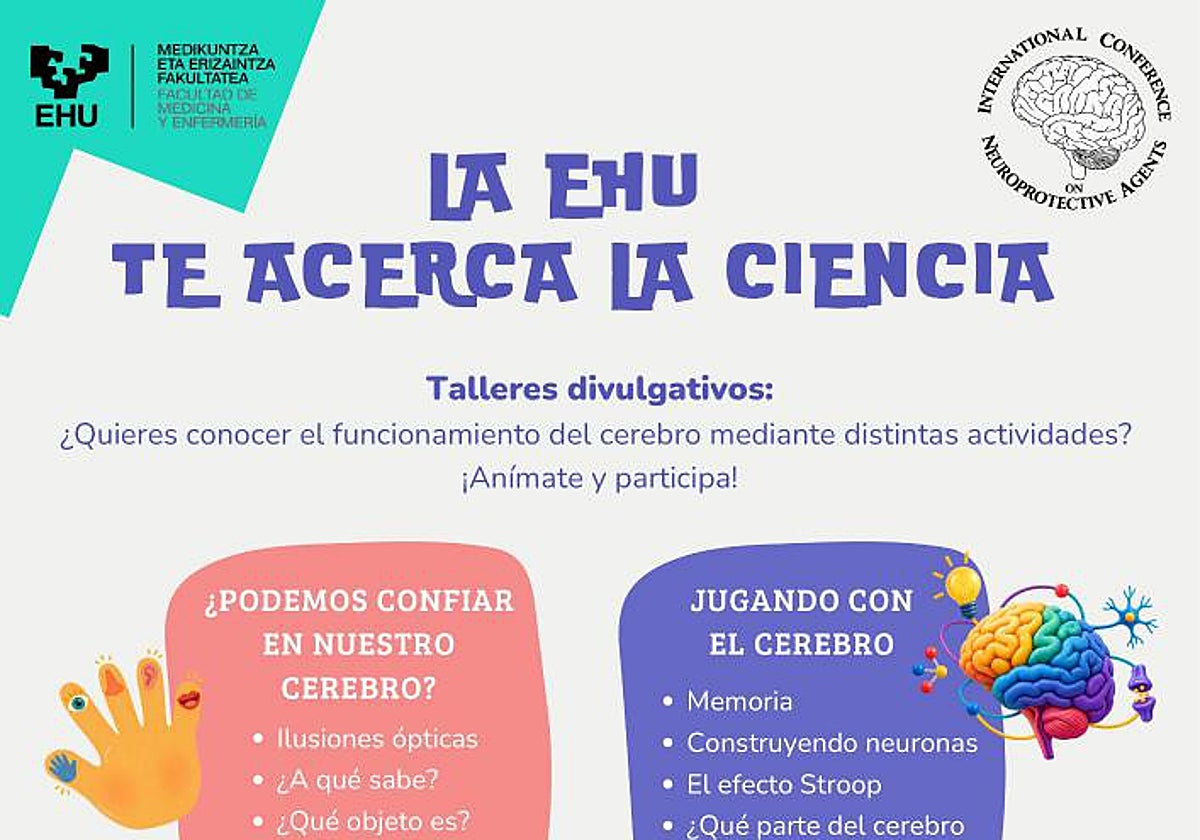 Durango acogerá un ciclo de divulgación científica de la EHU sobre cerebro, mente y salud